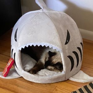 Meet your Posher, Greg